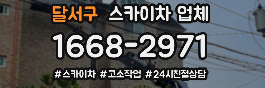 달서구 스카이차 업체