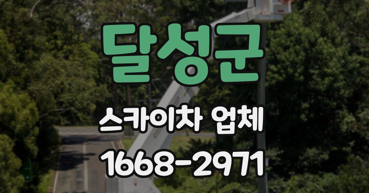 달성군 스카이차 업체