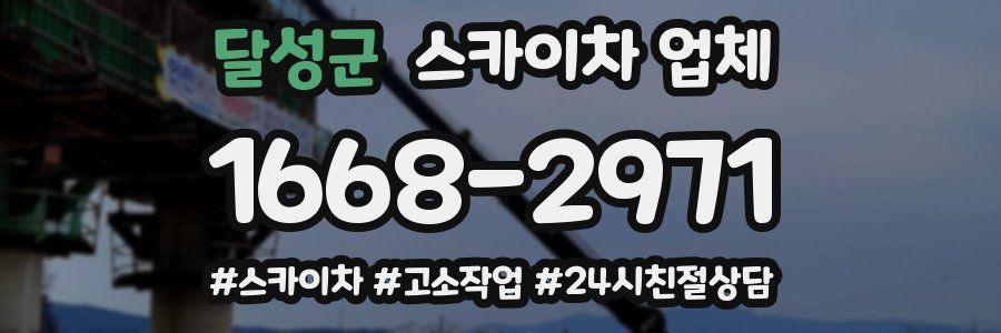 달성군 스카이차 업체