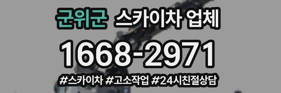 군위군 스카이차 업체