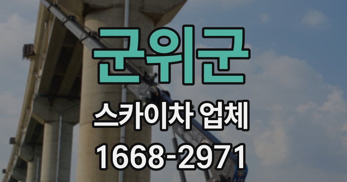 군위군 스카이차 업체