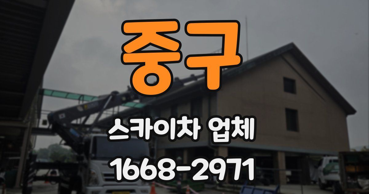 중구 스카이차 업체