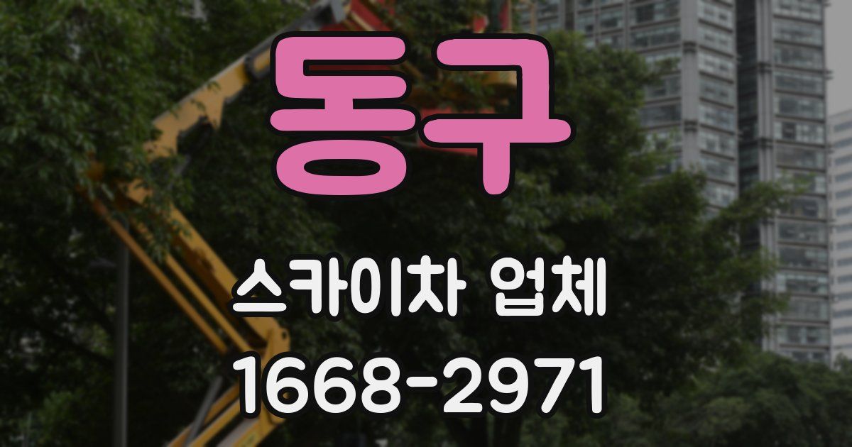 동구 스카이차 업체