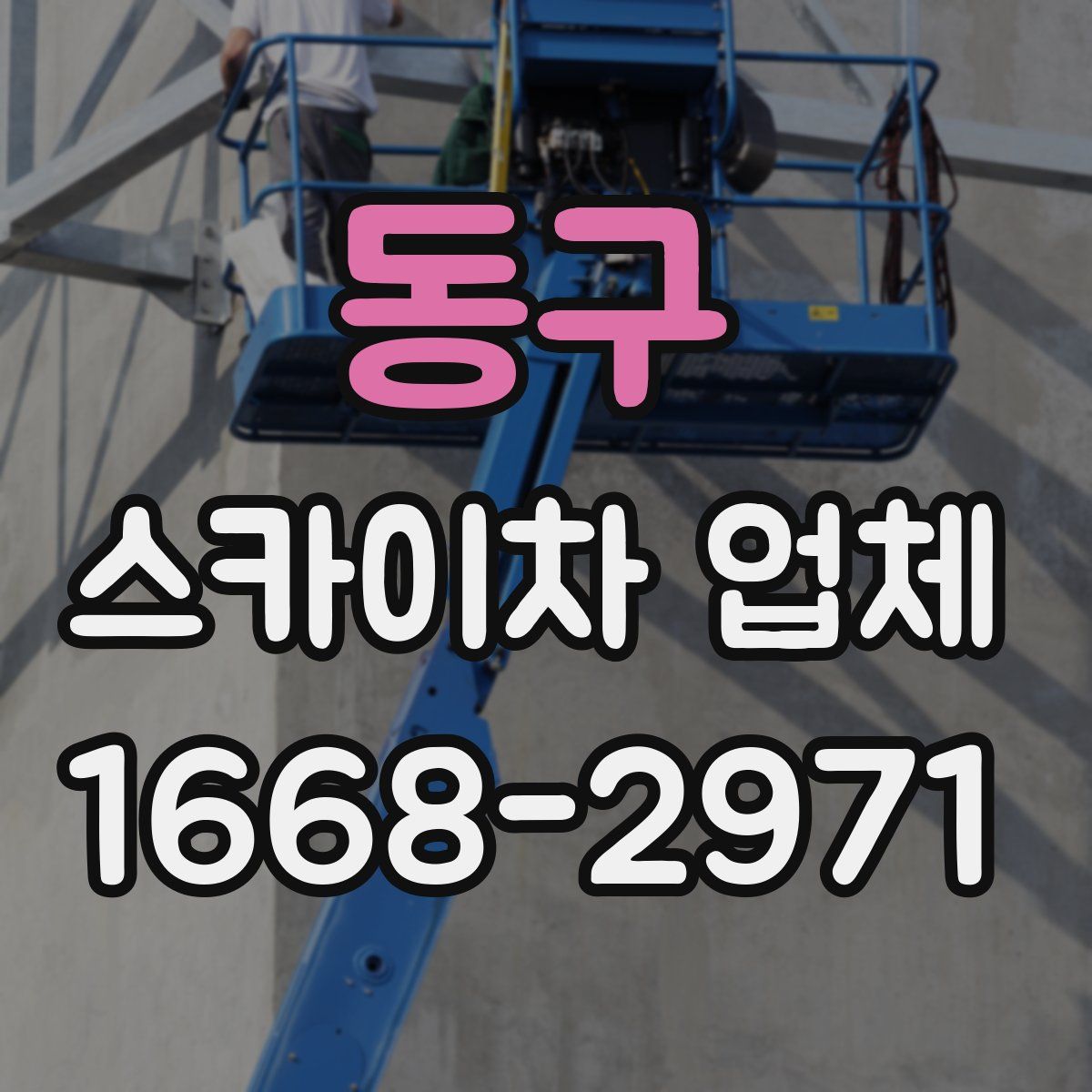 동구 스카이차 업체