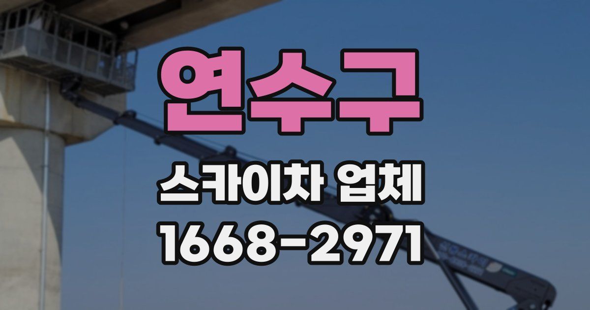 연수구 스카이차 업체