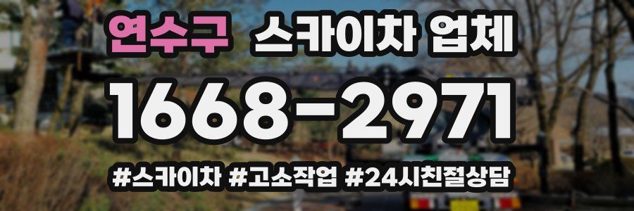 연수구 스카이차 업체