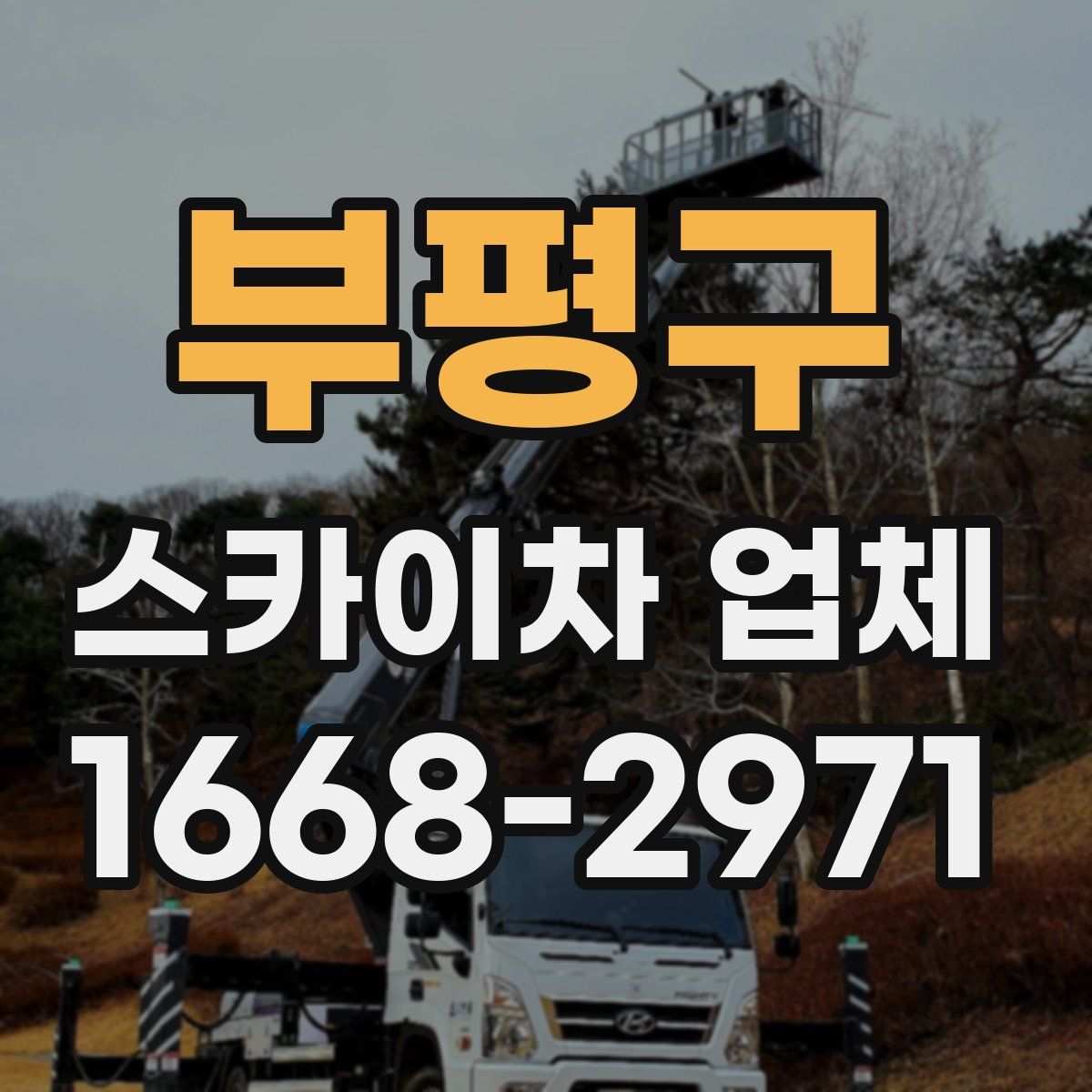 부평구 스카이차 업체