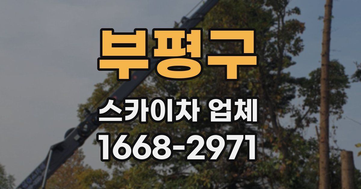 부평구 스카이차 업체
