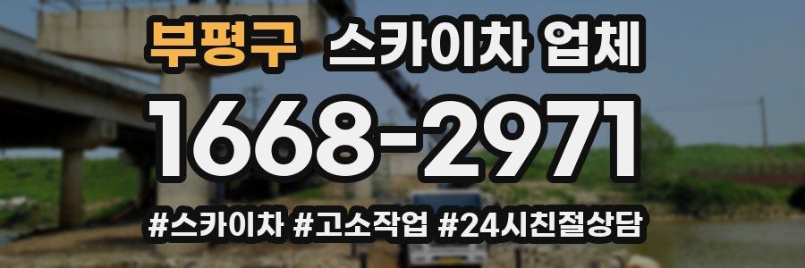 부평구 스카이차 업체