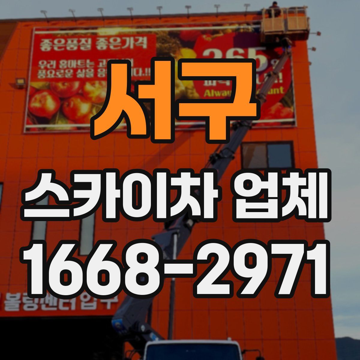 서구 스카이차 업체