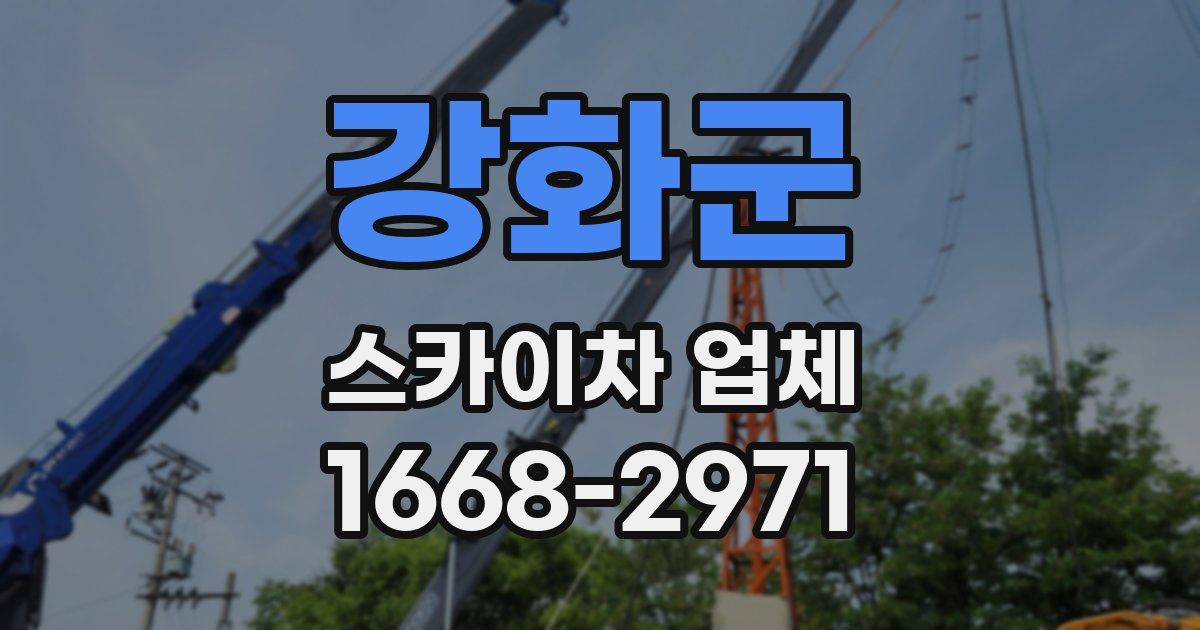 강화군 스카이차 업체