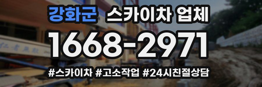 강화군 스카이차 업체