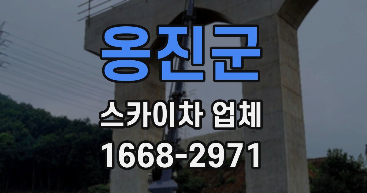 옹진군 스카이차 업체