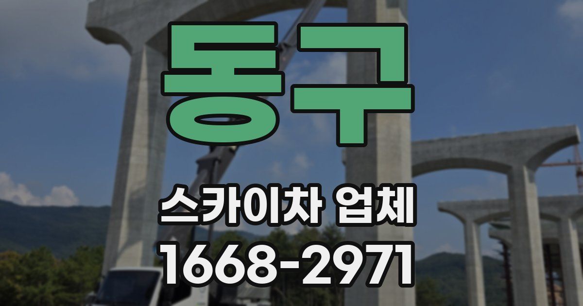 동구 스카이차 업체