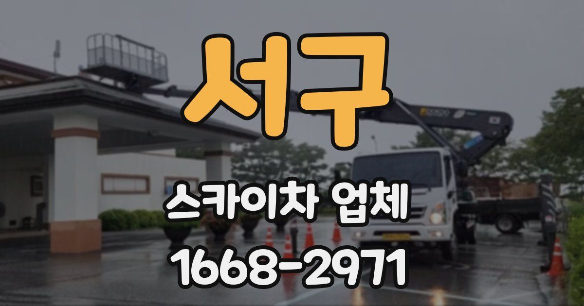 서구 스카이차 업체