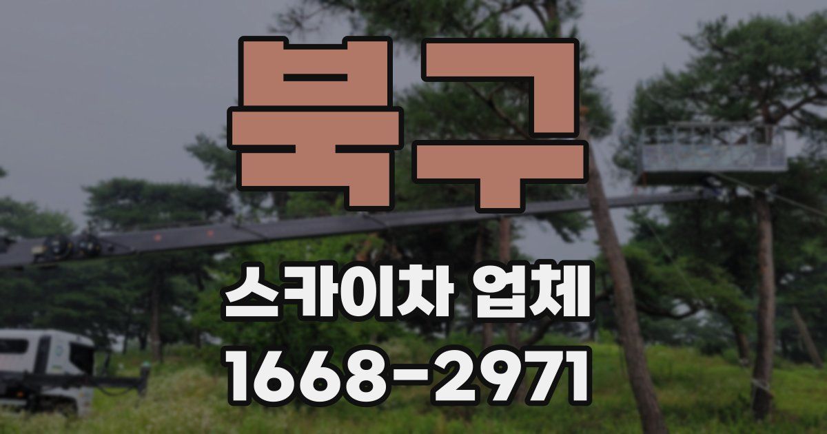 북구 스카이차 업체