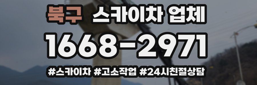 북구 스카이차 업체