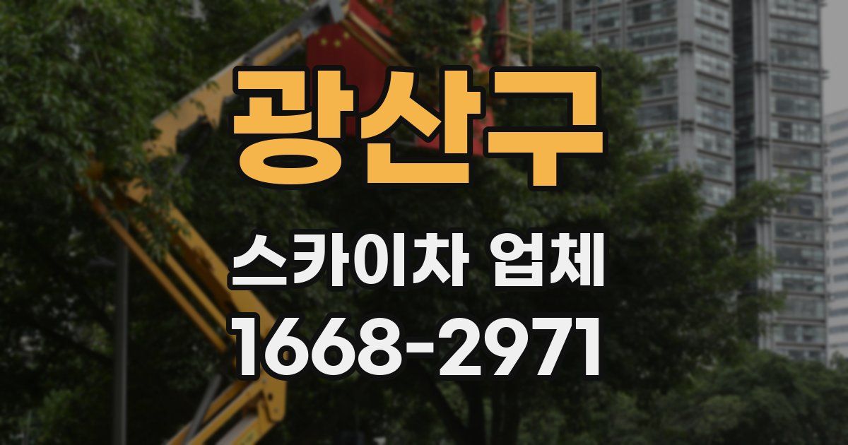 광산구 스카이차 업체
