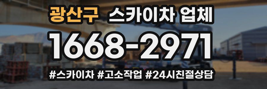 광산구 스카이차 업체
