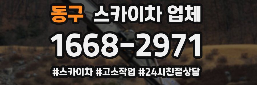 동구 스카이차 업체