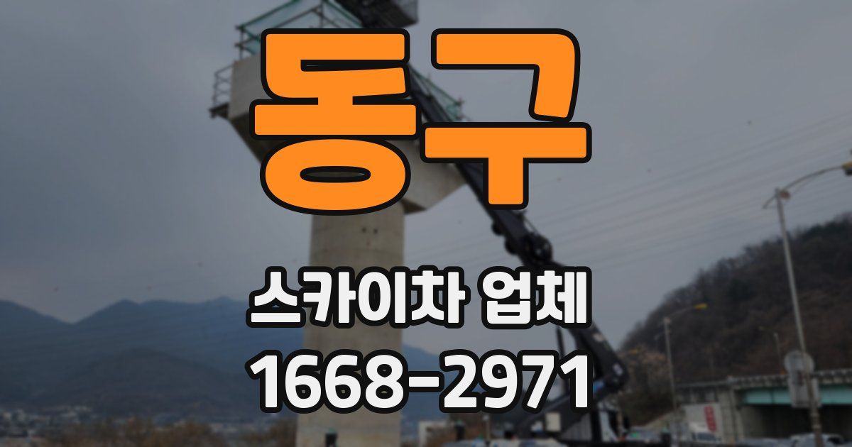 동구 스카이차 업체