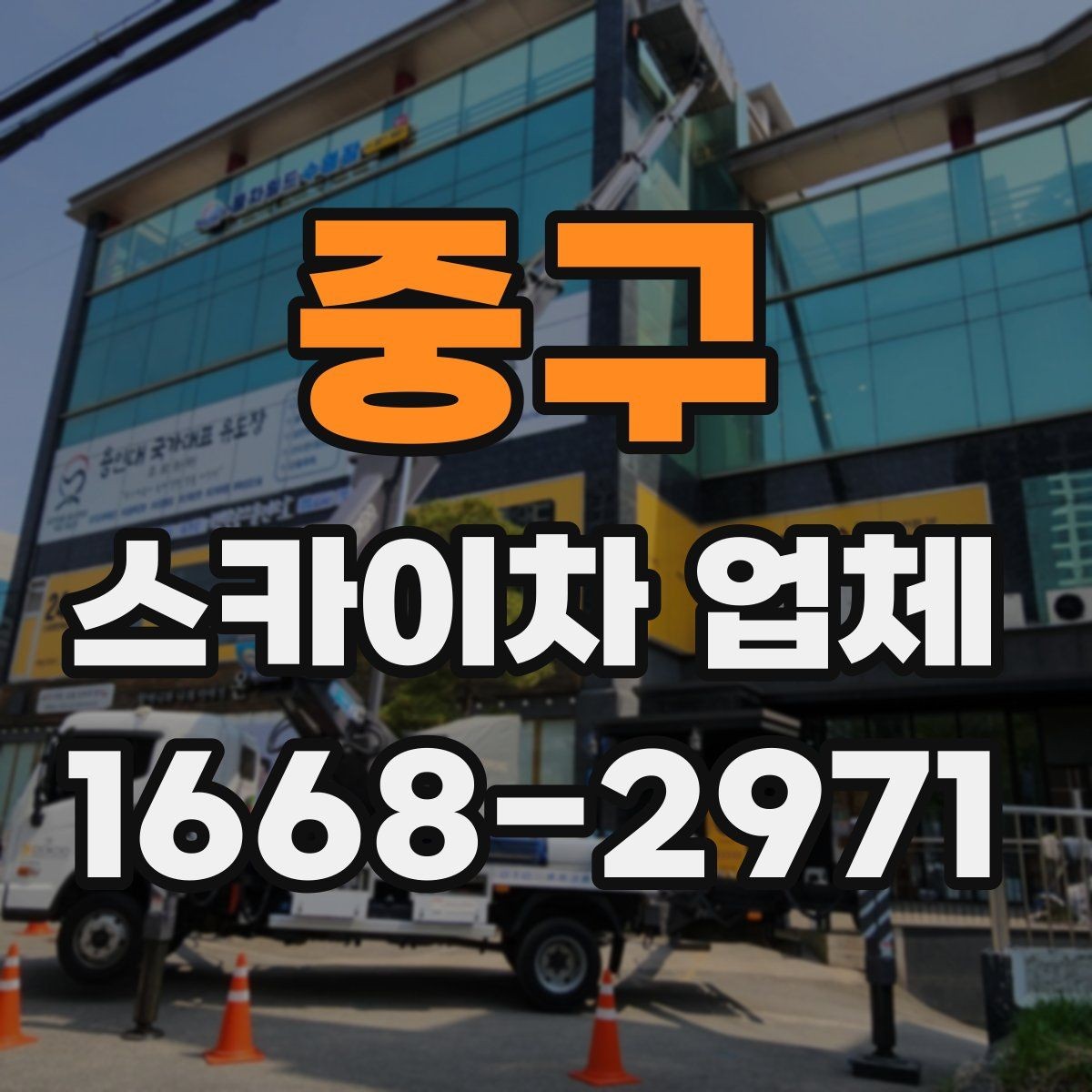 중구 스카이차 업체 예약 전에 체크할 사항