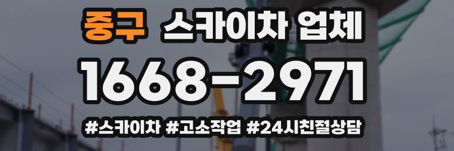 중구 스카이차 업체