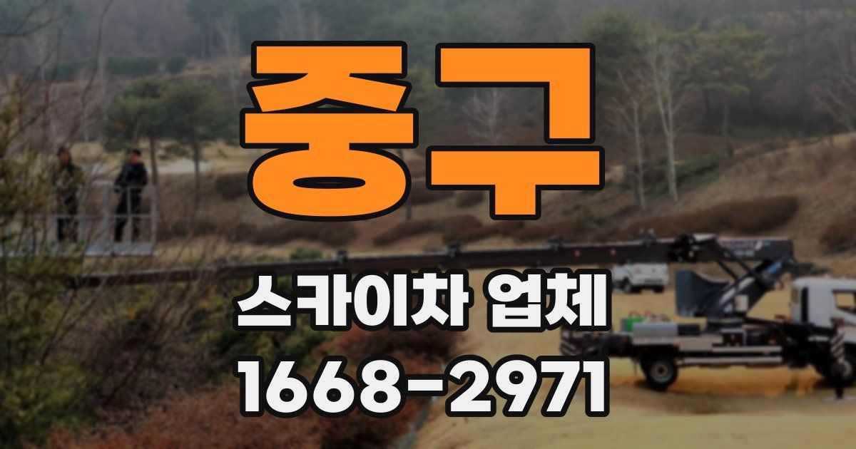 중구 스카이차 업체