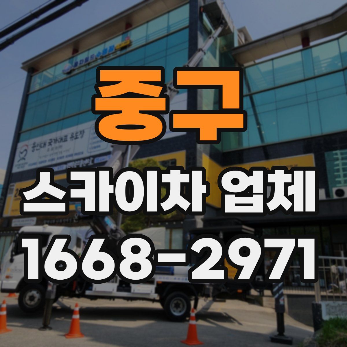 중구 스카이차 업체