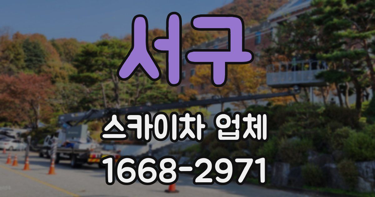 서구 스카이차 업체