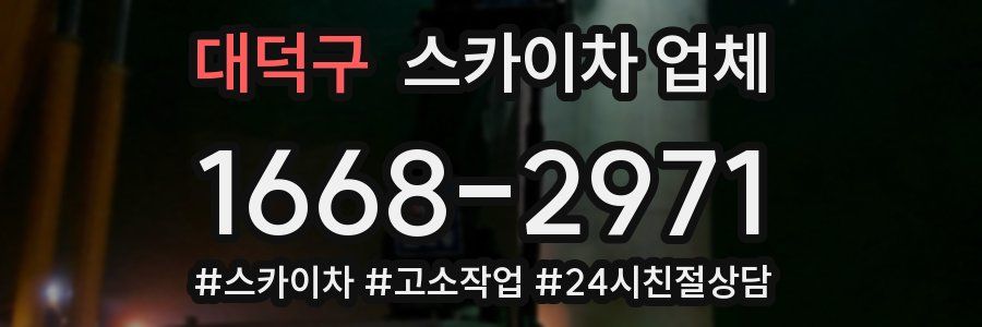 대덕구 스카이차 업체