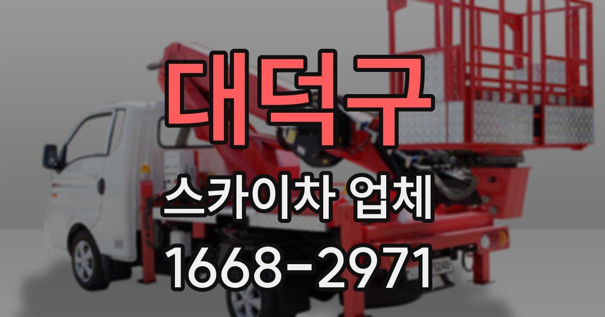 대덕구 스카이차 업체