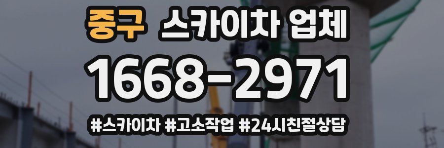 중구 스카이차 업체