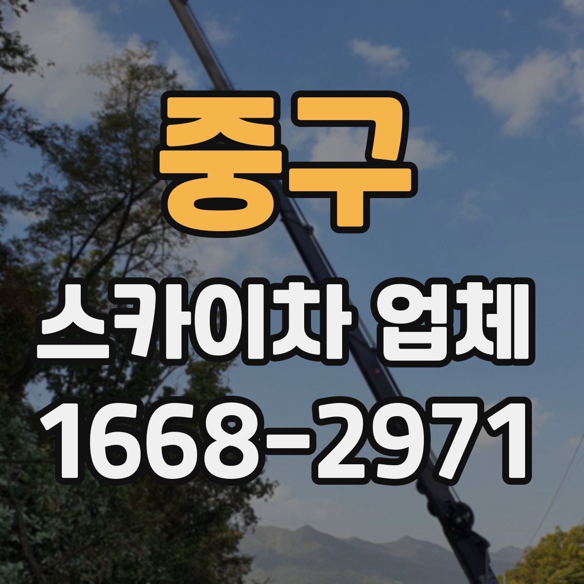 중구 스카이차 업체