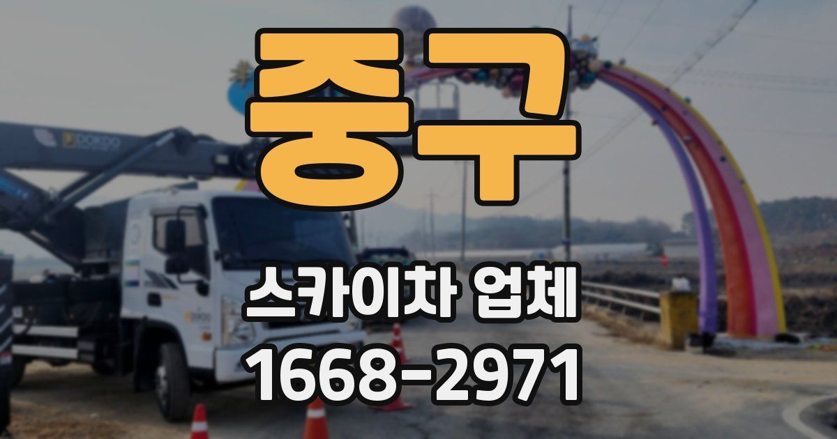 중구 스카이차 업체