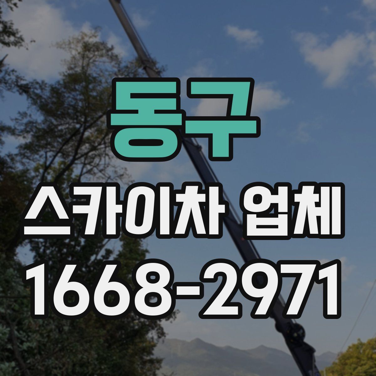 동구 스카이차 업체
