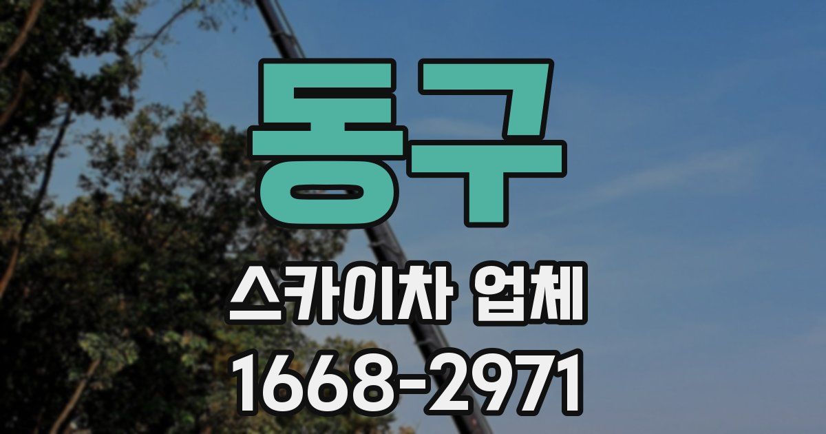 동구 스카이차 업체