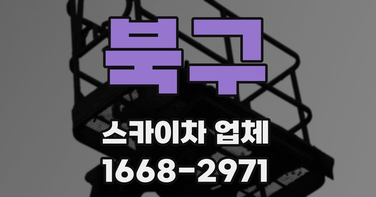 북구 스카이차 업체
