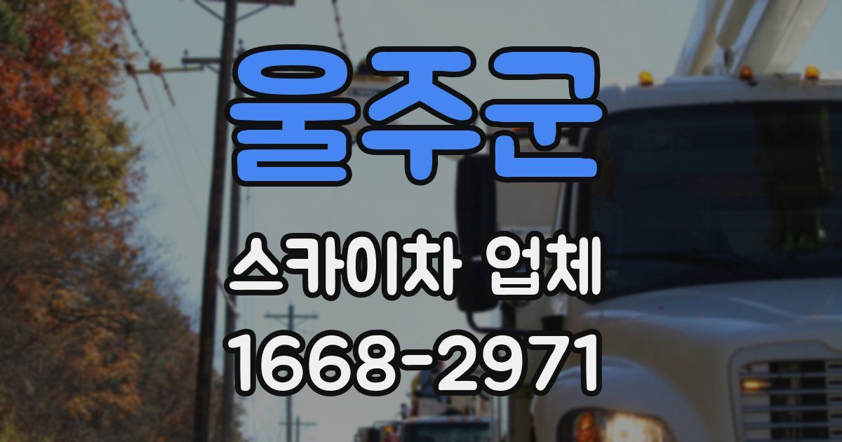 울주군 스카이차 업체