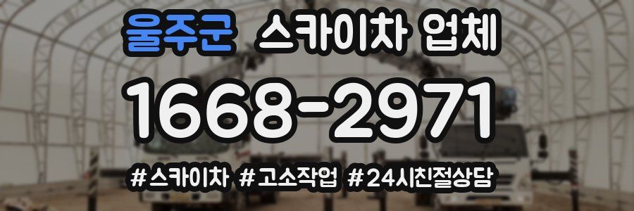 울주군 스카이차 업체