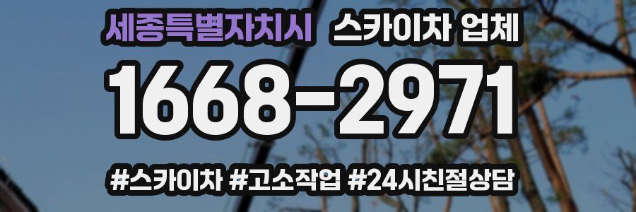 세종특별자치시 스카이차 업체