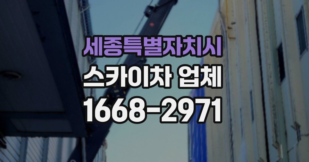 세종특별자치시 스카이차 업체