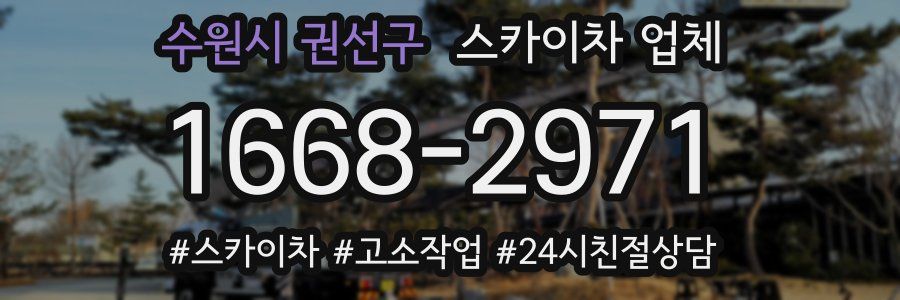 수원시 권선구 스카이차 업체