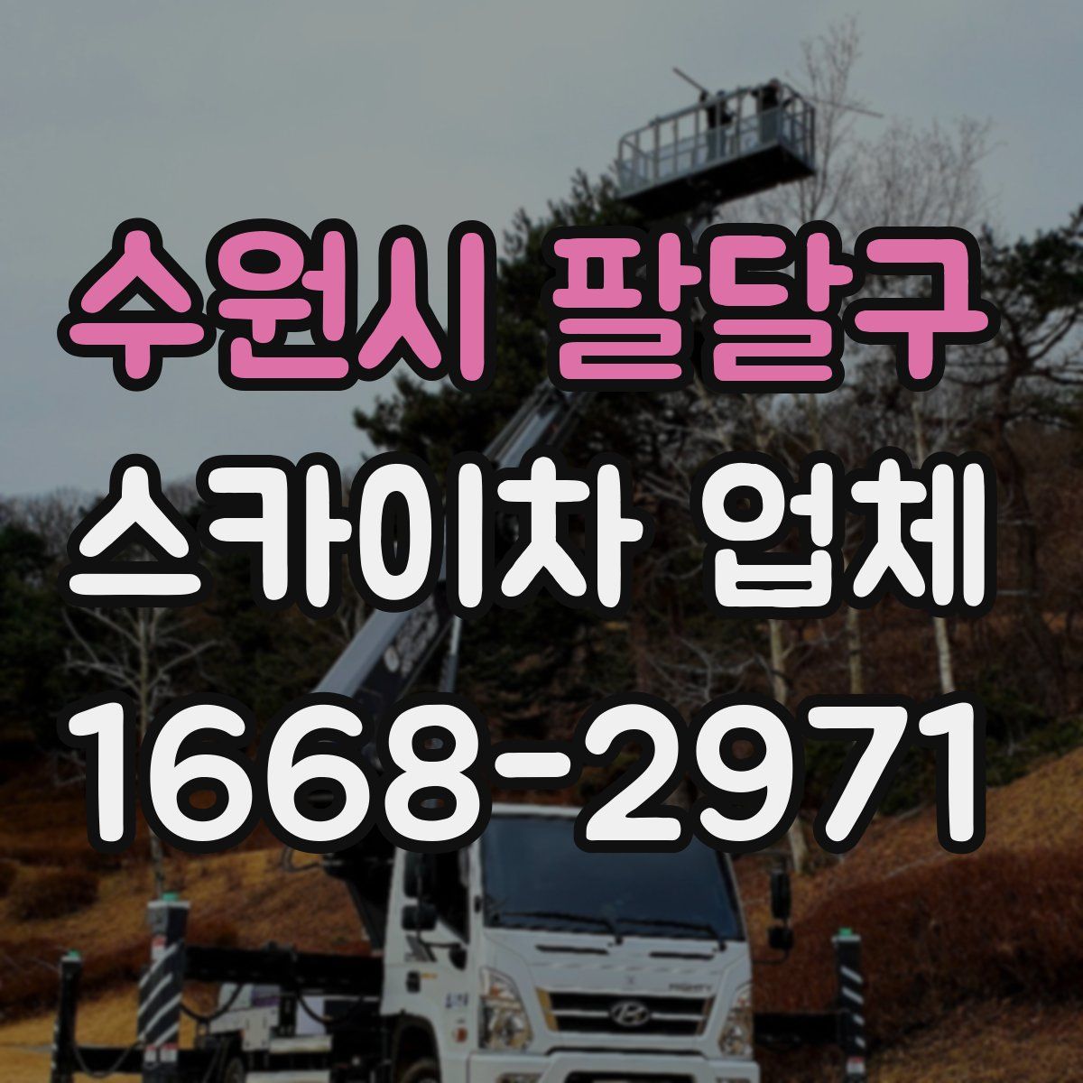 수원시 팔달구 스카이차 업체