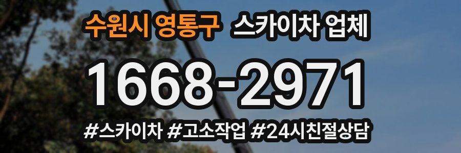 수원시 영통구 스카이차 업체