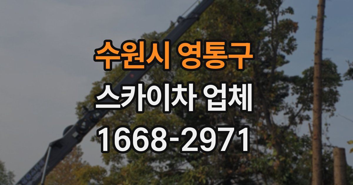 수원시 영통구 스카이차 업체