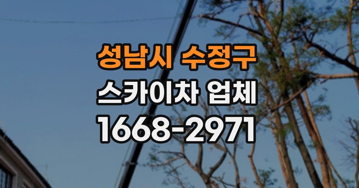 성남시 수정구 스카이차 업체
