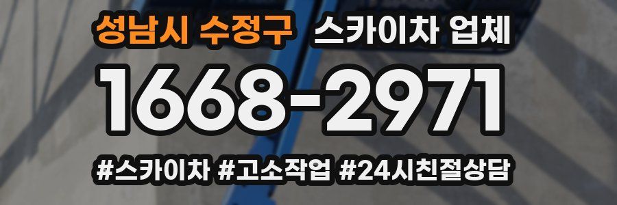 성남시 수정구 스카이차 업체