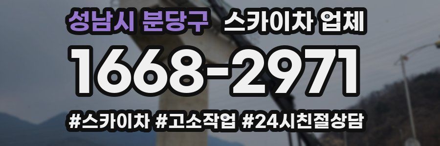 성남시 분당구 스카이차 업체