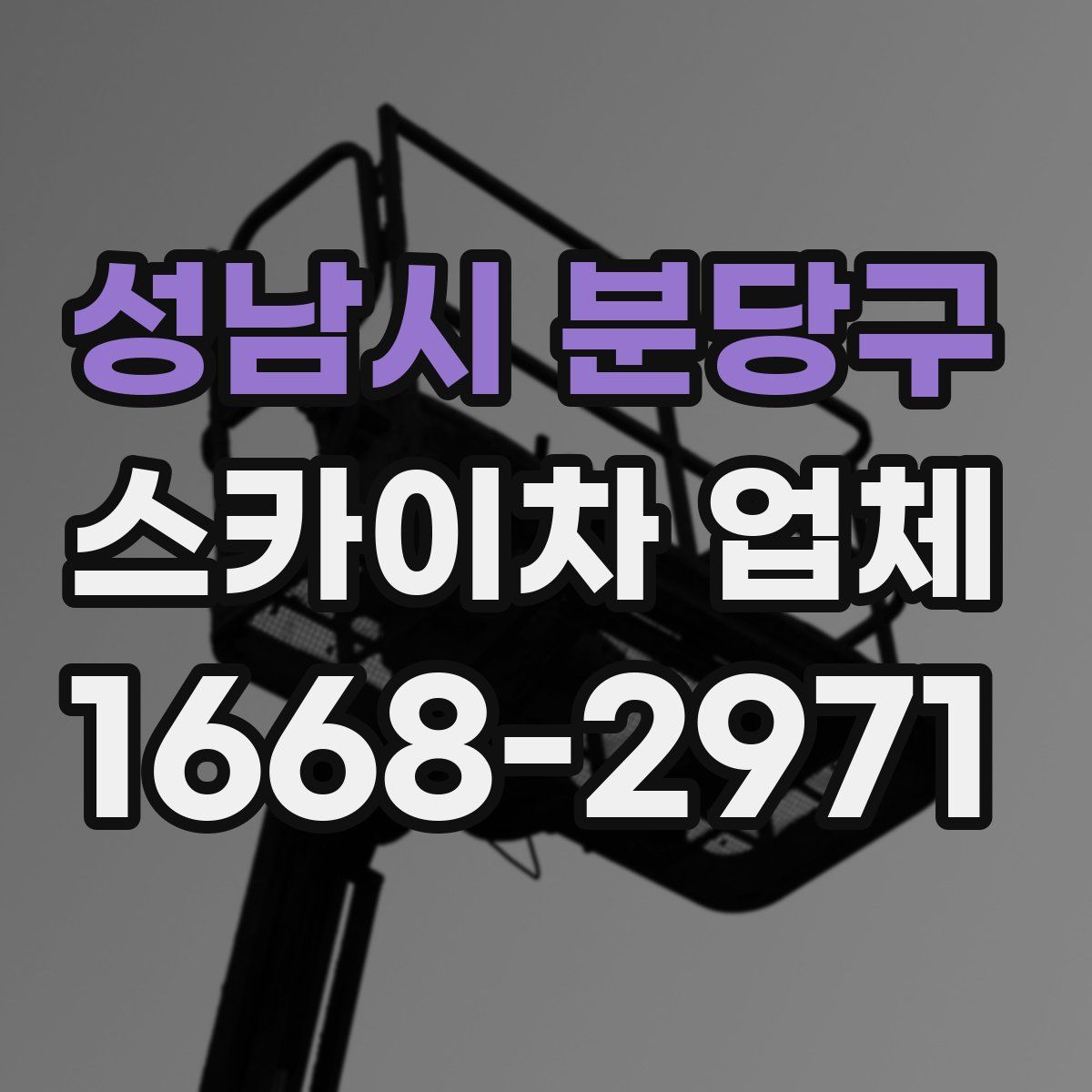 성남시 분당구 스카이차 업체